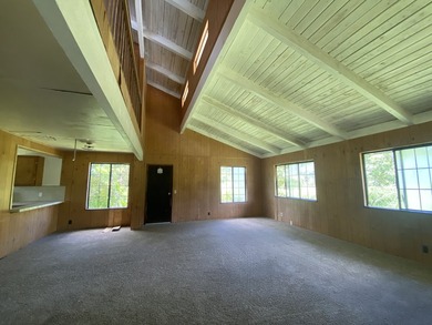 So much potential and priced to move quick! 2 homes on one acre - photo 20