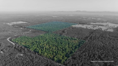Lake Acreage For Sale in Newhope, Arkansas