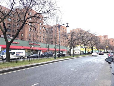 Welcome to Parkchester! This beautifully renovated 2-bedroom - photo 22
