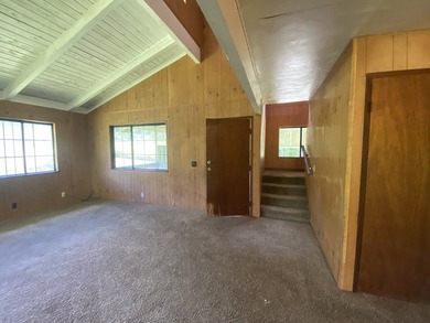 So much potential and priced to move quick! 2 homes on one acre - photo 23