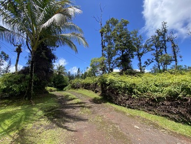 So much potential and priced to move quick! 2 homes on one acre - photo 30