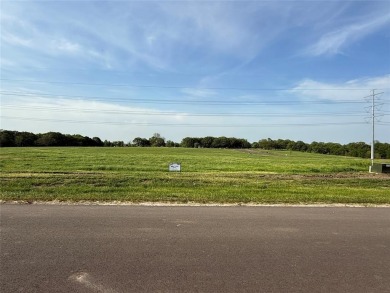Lake Lot For Sale in Dodd City, Texas