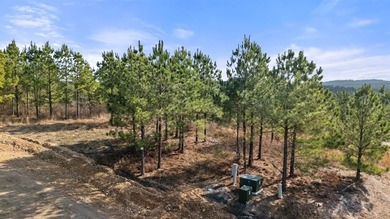 Broken Bow Lake Lot For Sale in Broken Bow Oklahoma