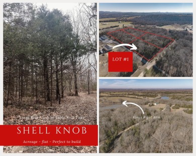 Table Rock Lake Lot For Sale in Shell Knob Missouri