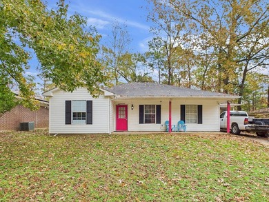 Move-in ready and priced to sell! This 4-bedroom, 2-bath home in - photo 1
