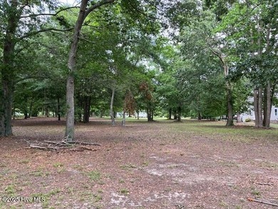 Coastal gated community on the Albemarle Sound just minuets from - photo 3