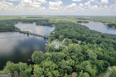 WHAT A LAKE LOT!!! You don't get this much anymore! This is an - photo 3