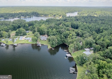 WHAT A LAKE LOT!!! You don't get this much anymore! This is an - photo 9