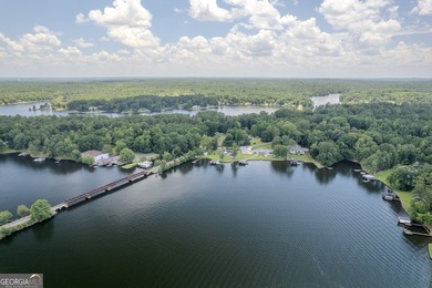 WHAT A LAKE LOT!!! You don't get this much anymore! This is an - photo 10