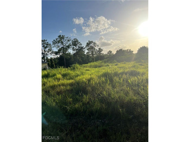 Lehigh Acres Area Lot For Sale in Lehigh Acres Florida