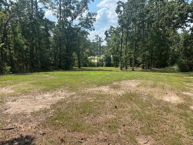 Lake Sam Rayburn  Lot For Sale in Brookeland Texas