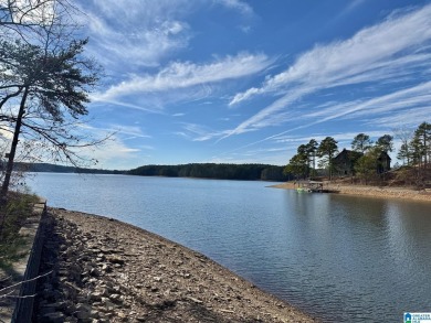 Lake Lot For Sale in Wedowee, Alabama