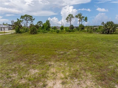 Fantastic opportunity to build your dream home in the desirable - photo 8