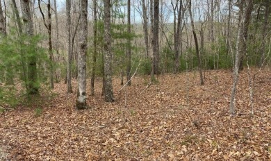 Lake Nottely Acreage Sale Pending in Morganton Georgia