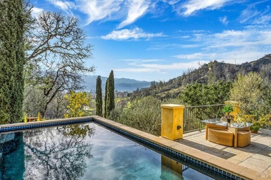 120 Acre Napa Valley gated estate with antique Italian tile roof - photo 22