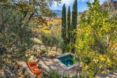 120 Acre Napa Valley gated estate with antique Italian tile roof - photo 43