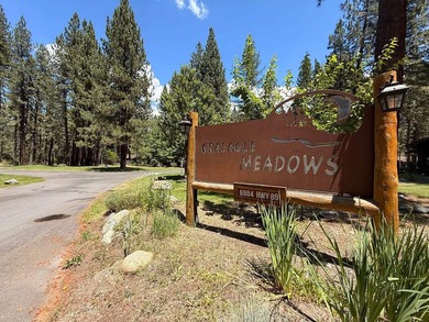 Welcome to easy mountain living in the heart of Graeagle. This - photo 43