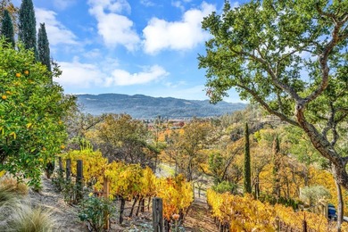 120 Acre Napa Valley gated estate with antique Italian tile roof - photo 48