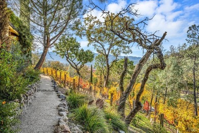120 Acre Napa Valley gated estate with antique Italian tile roof - photo 49