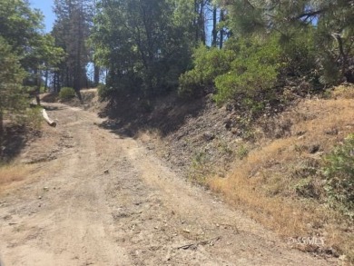 Lake Acreage For Sale in Wofford Heights, California