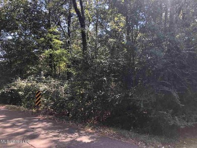 Lake Lot Sale Pending in Ridgeland, Mississippi