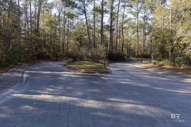 Situated in the exclusive Sanctuary subdivision, this lot offers - photo 15