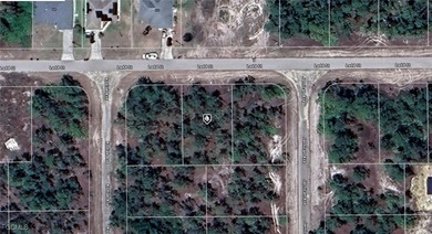 Lehigh Acres Area Lot For Sale in Lehigh Acres Florida