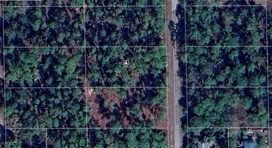 Lehigh Acres Area Lot For Sale in Lehigh Acres Florida