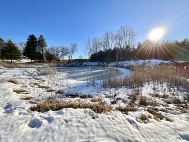 Lake Acreage Sale Pending in Barryton, Michigan