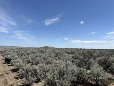 Lake Acreage For Sale in Silver Lake, Oregon