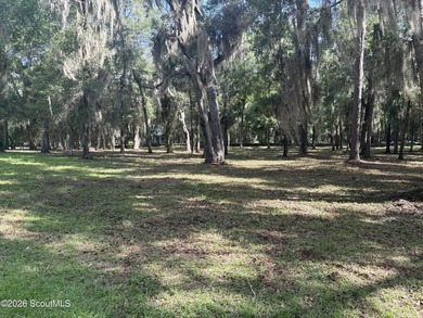 Build your dream home beneath a canopy of majestic live oaks in - photo 14
