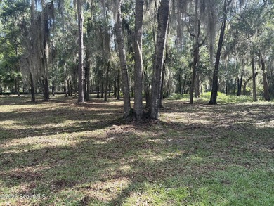 Build your dream home beneath a canopy of majestic live oaks in - photo 15