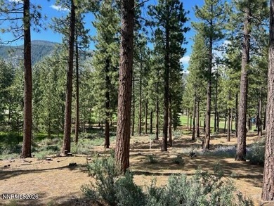 Set within the gates of Clear Creek Tahoe, this remarkable - photo 4