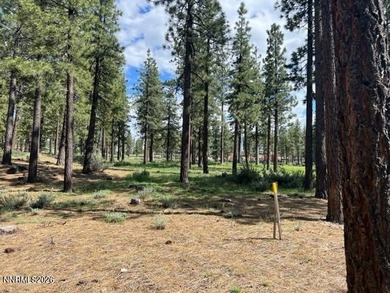 Set within the gates of Clear Creek Tahoe, this remarkable - photo 5