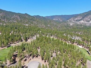 Set within the gates of Clear Creek Tahoe, this remarkable - photo 8