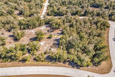 Build your Florida dream home in the peaceful city of Port - photo 3