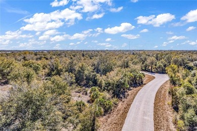 Build your Florida dream home in the peaceful city of Port - photo 4