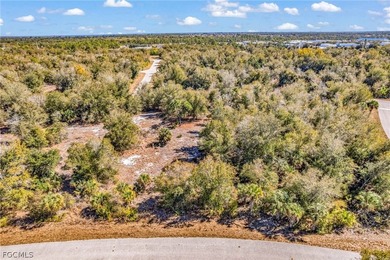 Build your Florida dream home in the peaceful city of Port - photo 6