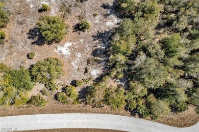 Build your Florida dream home in the peaceful city of Port - photo 8