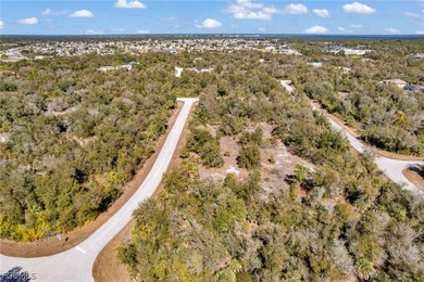 Build your Florida dream home in the peaceful city of Port - photo 10