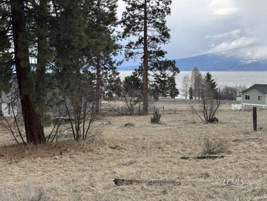 It is a gorgeous parcel with scenic Agency Lake views and packed - photo 3