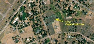 It is a gorgeous parcel with scenic Agency Lake views and packed - photo 4