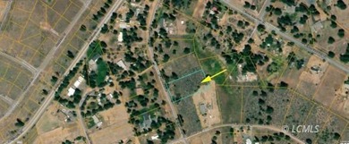 It is a gorgeous parcel with scenic Agency Lake views and packed - photo 5