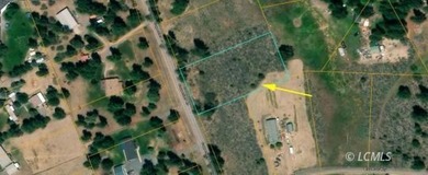 It is a gorgeous parcel with scenic Agency Lake views and packed - photo 7