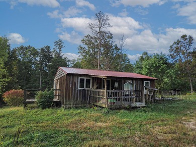 (private lake, pond, creek) Home For Sale in Cabool Missouri