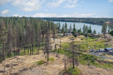 Rare lake acreage opportunity. Six parcels totaling 2.38 acres - photo 11