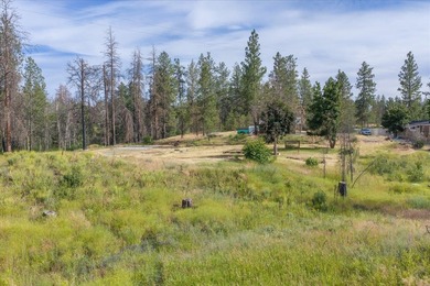 Rare lake acreage opportunity. Six parcels totaling 2.38 acres - photo 13