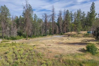 Rare lake acreage opportunity. Six parcels totaling 2.38 acres - photo 14
