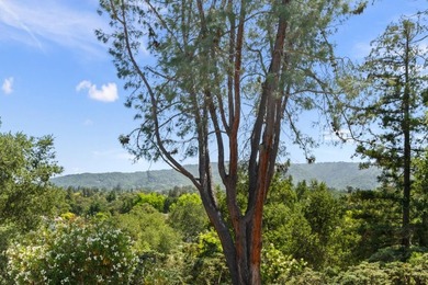 Welcome to the Saratoga Country Manor. Situated on a private and - photo 16
