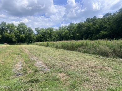 Pigeon River Lot For Sale in Newport Tennessee